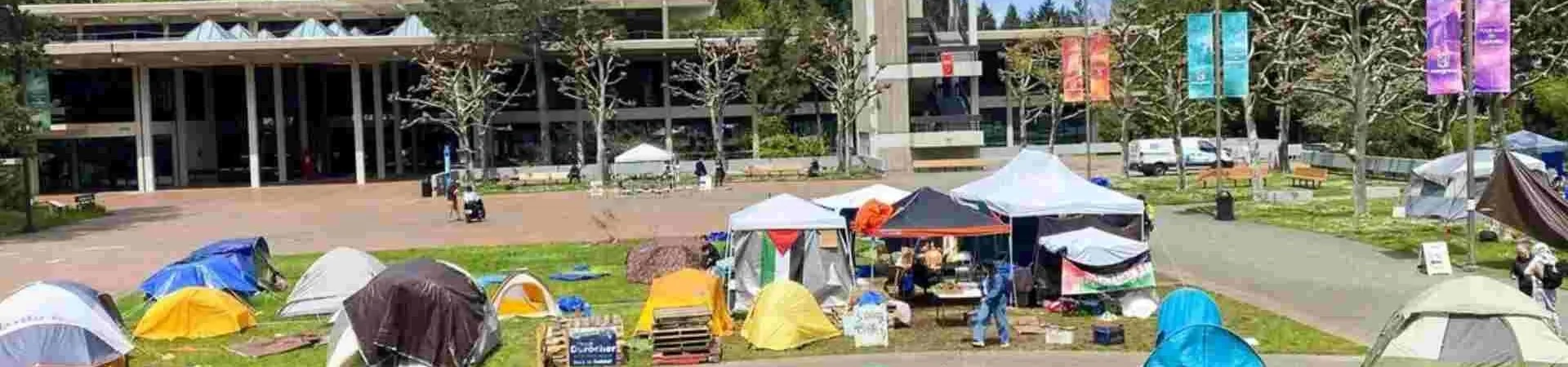 evergreen college landing