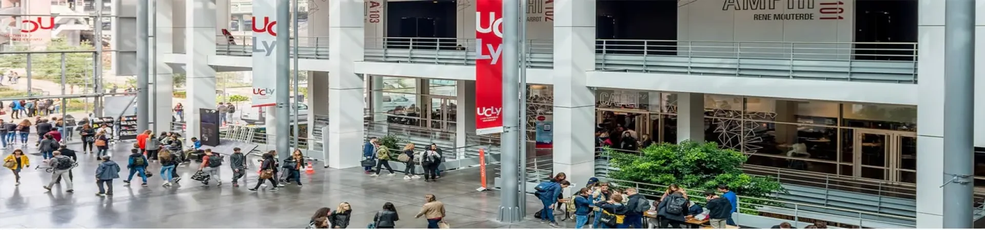 ESDES Lyon Business School