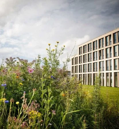 European University of Flensburg Mobile