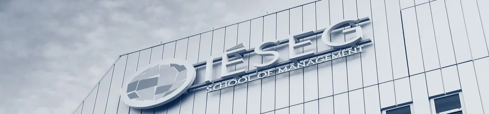 IESEG School of Management