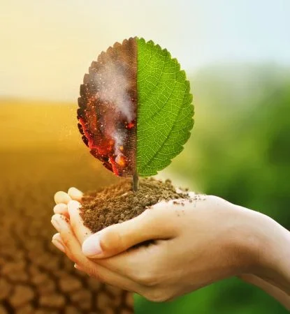 Masters in Environmental Science in France