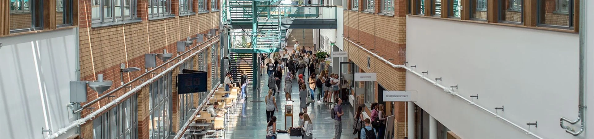 The University of South-Eastern Norway landing