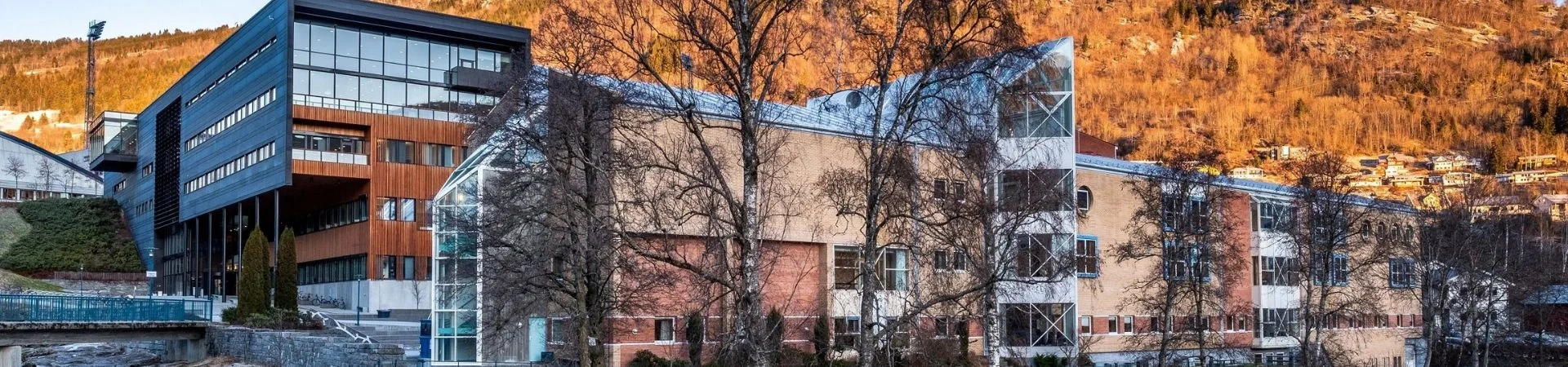The Western Norway University of Applied Sciences landing