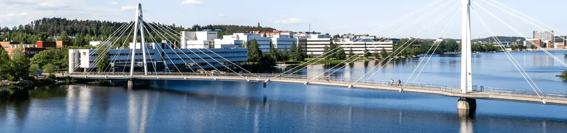 University of Jyväskylä