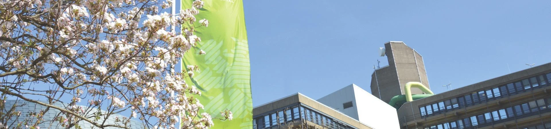 University of Wuppertal landing