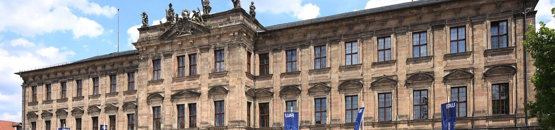 Friedrich-Alexander-Universität Erlangen-Nürnberg landing