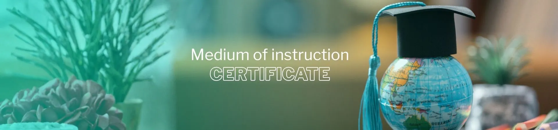 Medium of instruction certificate