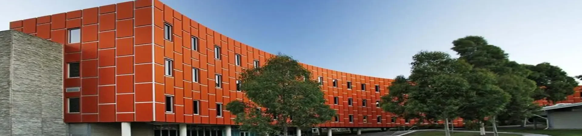 RMIT University