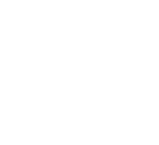 Study abroad counseling