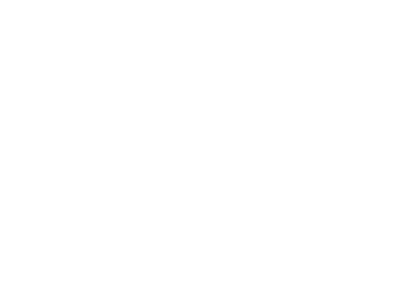 Study in New Zealand Consultants