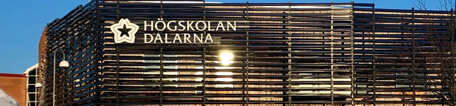 Dalarna University landing